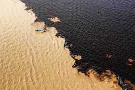Rio Negro e Seus Afluentes – Um Mundo à Parte na Amazônia